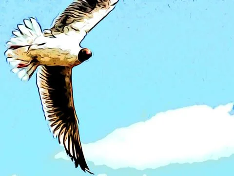 Flying Seagull Stock Photos