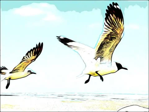 Flying Seagull Stock Photos