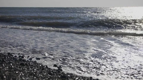 Flying seagull in the sea Stockbeeldmateriaal 128258775