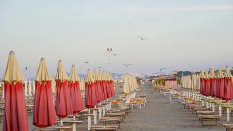 Flying seagulls at the beach of Rimini beachumbrella Stock Footage