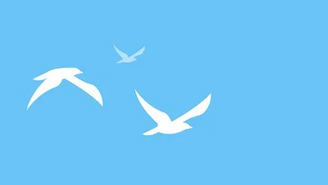 Flying seagulls. Close up of a gull in the sky. Abstract Silhouette of birds. Stock Illustration