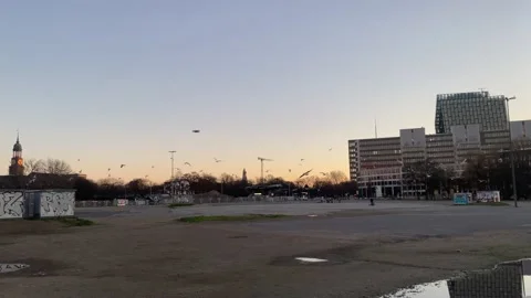 Flying seagulls at dusk 스톡 동영상 145721230