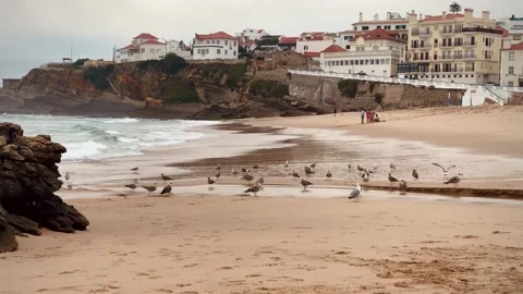 Flying Seagulls on Ocean Beach Stock Footage 233827478