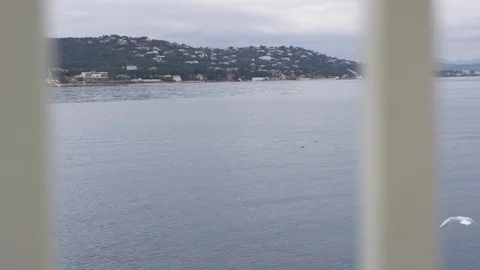 Flying seagulls over sea Stock Footage 86563893