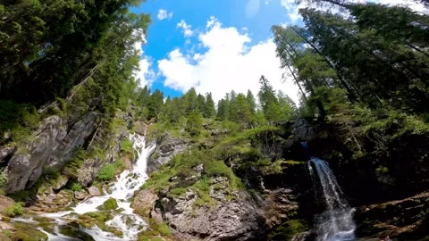 Flying Seagulls Over Trees by Waterfall Stock Footage 325329690