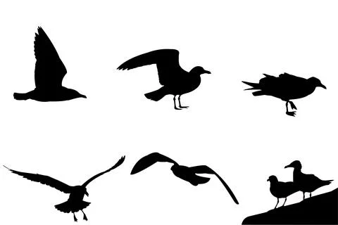 Flying seagulls vector set Stock Illustration