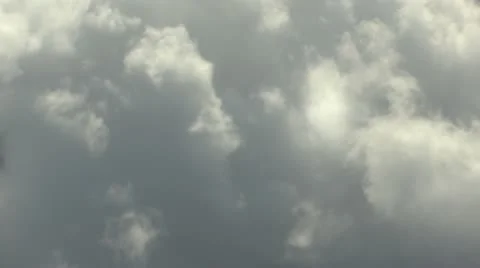 Flying Shimmer 1 Stockbeeldmateriaal 11335591