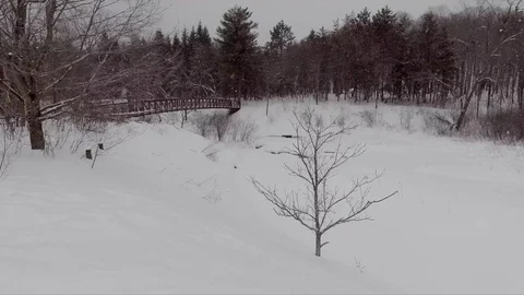 Flying sideways over the tree towards the bridge Stockbeeldmateriaal 73976715