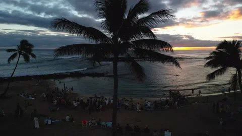 Flying by silhouetted palm trees at sunset Stock Footage 232426508