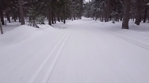 Flying slow above forest and white road, winter drone aerial view Stock Footage 87819223
