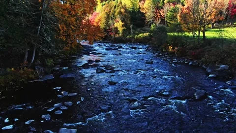 Flying slowly backward down low over the small river with rapids Video stock 163984563