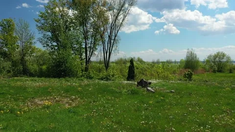 Flying slowly backward with a drone right above green grass and dandelions, Stock Footage 164934640