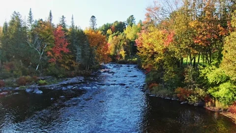 Flying slowly backward over the small river with rapids Video stock 164009620