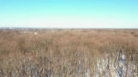 Flying slowly forward with a drone above the forest in winter 動画素材 164508340