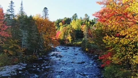 Flying slowly forward over the small river with rapids Stock Footage 164009738