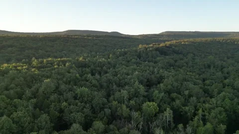 Flying slowly over forest trees aerial footage (with shawangunk ridge behind) Stock Footage 251662380