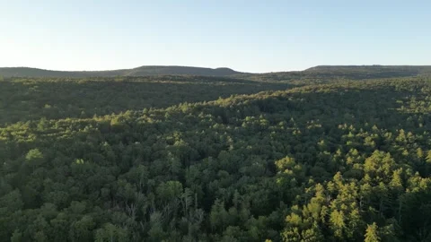 Flying slowly over forest trees aerial footage (with shawangunk ridge behind) Stock Footage 251667130