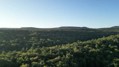 Flying slowly over forest trees aerial footage (with shawangunk ridge behind) Stock Footage 251667361