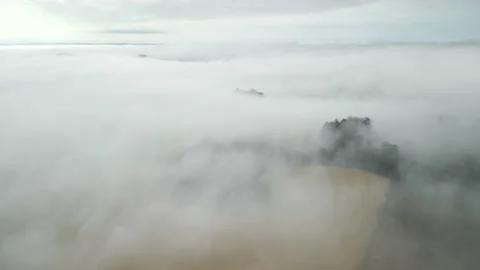 Flying slowly over moving clouds above wheat field and trees. Above the clouds. Stock Footage 234638657