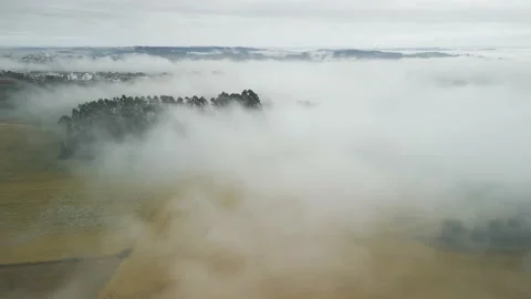 Flying slowly over moving clouds above wheat field and trees. Above the clouds. Stock Footage 234638675