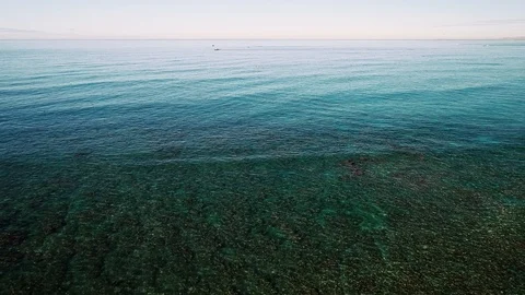 Flying slowly at sea over clear blue water. Video stock 109454827