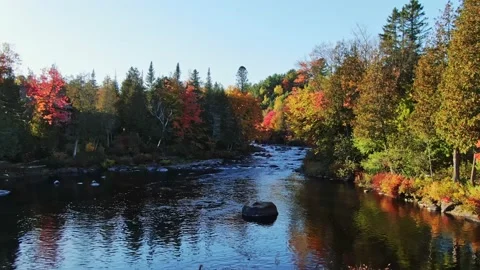 Flying slowly towards the small river with rapids surrounded by colorful tree 動画素材 164010090