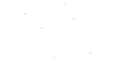 Flying small butterfly animation 4k 動画素材 250597218