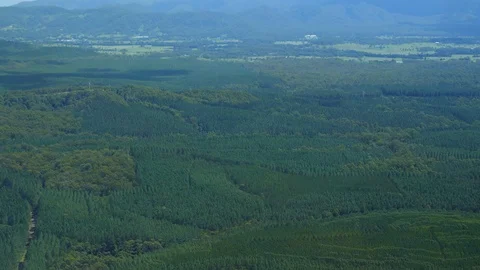 Flying a small plane, Queensland Stock Footage 100208820