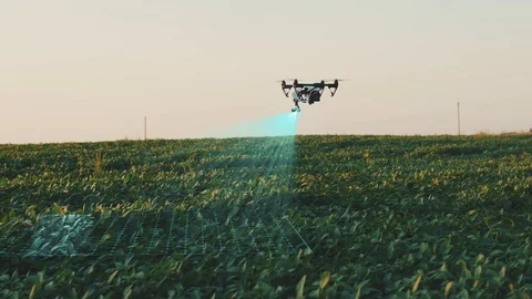 Flying Smart Agriculture Drone. Artificial Intelligence. Drone Scan Agriculture Stock Footage