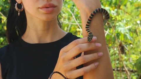 Flying snake. Paradise tree snake, Latin Chrysopelea paradisi or Chrysopelea  Stockbeeldmateriaal 91928184