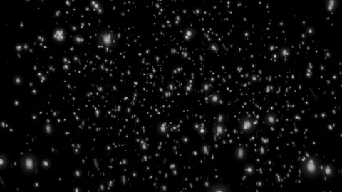 Flying snow on a black background. 4K motion graphics. snowfall overlay Stock Footage 256913265