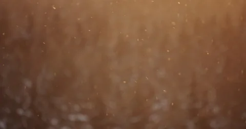 Flying snow in direct sunlight - winter background Vidéo 148279493