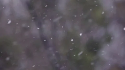 Flying snowflakes falls blurred background slow motion HD video. Snowing winter Stock Footage 74729424
