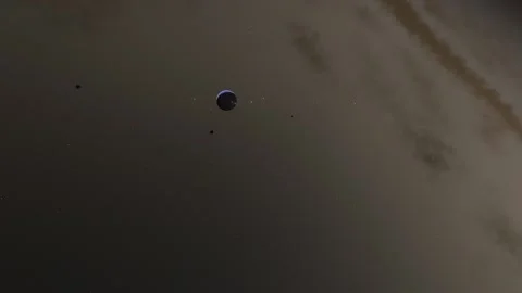 Flying in space Stock Footage 146227801