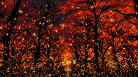 Flying sparks in a post-apocalyptic forest Stock Footage 253518210