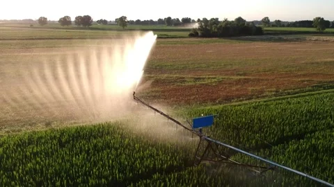 Flying to a sprinkler Stock Footage 134007408