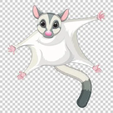 Flying Squirrel in Mid-Air Ilustração Stock
