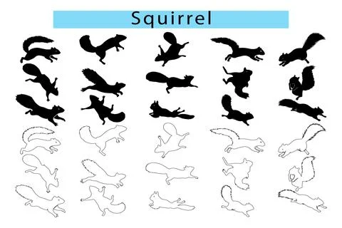 Flying squirrel outline vector illustration, Flying Squirrel silhouette Stock Illustration