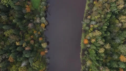 Flying straight down the river’s center, a drone reveals autumn’s patchwork Stock Footage 313986622