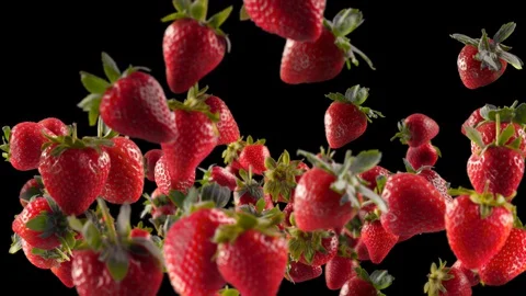 Flying of Strawberry in Black Background Stock Footage 129404125