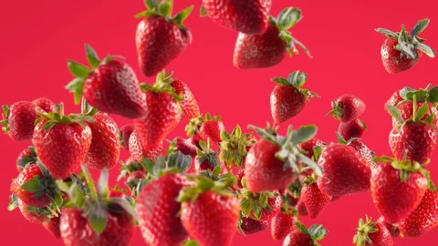 Flying of Strawberry in Fuchsia Background Stock Footage 129404864