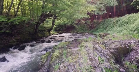 FLYING UP STREAM Stock Footage