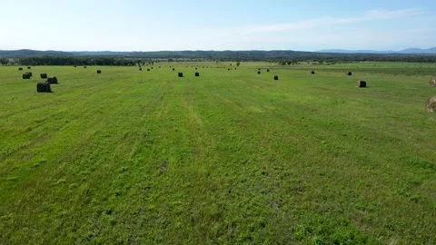 Flying on a summer day over a field with hay Stock Footage 220699437