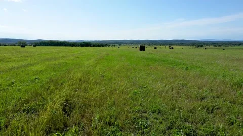 Flying on a summer day over a field with hay Stock Footage 220700566