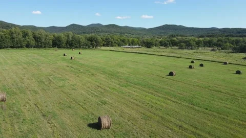 Flying on a summer day over a field with hay Stock Footage 220702628