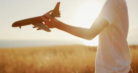 Flying in the sun Stock Footage 101396026
