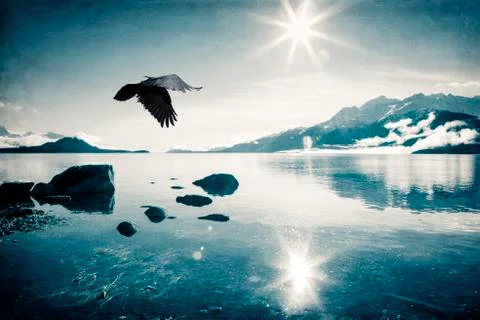 Flying in the Sun Stock Photos