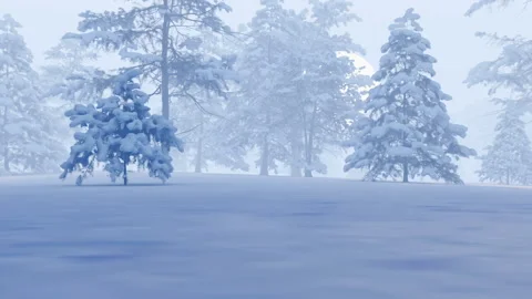 Flying to the sun through the snow-covered forest of fir trees. Stock Footage 166974130