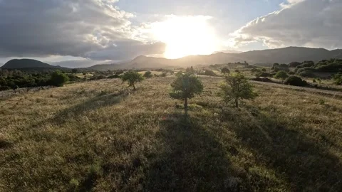 Flying into sunset 2 스톡 동영상 274931920