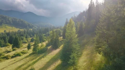 Flying at sunset in beautiful mountain valley with evergreen pine forest Stock Footage 158768633